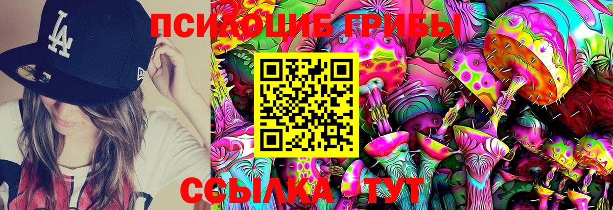 Псилоцибиновые грибы GOLDEN TEACHER Сергиев Посад
