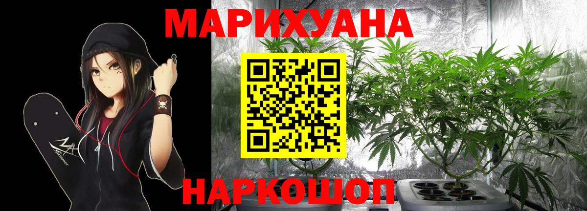 Каннабис планчик Сергиев Посад